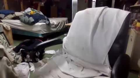 Snapshot of billmenow141 chatting on December 2, 11:29 am billmenow141 online show from December 2, 11:29 am