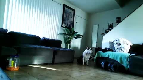 blackriches96 online show from February 17, 3:11 pm