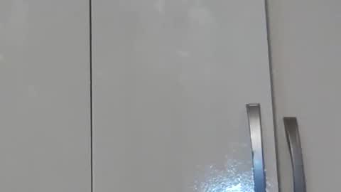 rose online show from November 13, 5:43 am