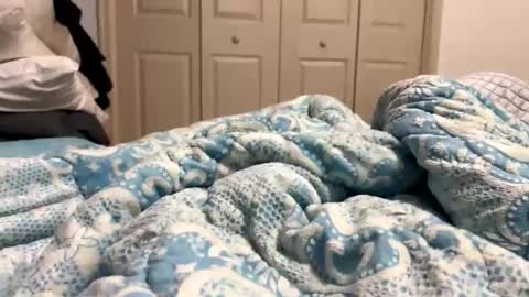 bmcluving online show from February 12, 7:34 am