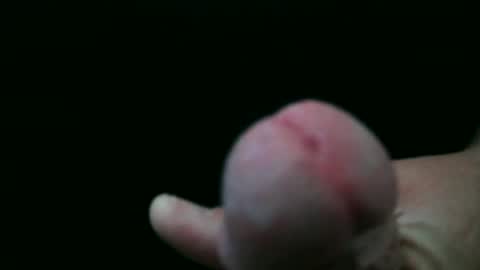 bobrossisalive online show from October 25, 9:15 pm