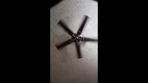 boca34345 online show from March 2, 7:15 am