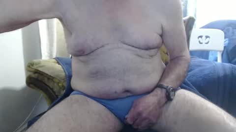 bolbil1 online show from November 5, 1:35 pm