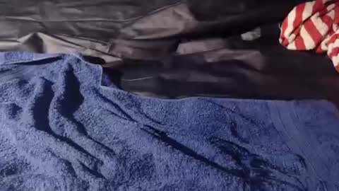 Bomm65 online show from November 19, 3:11 pm