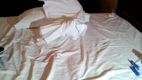 Polar Bear online show from April 19, 12:28 pm