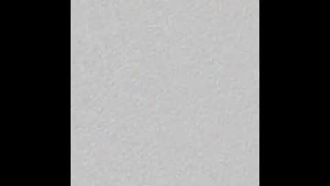 Bonnie and Clyde online show from November 17, 8:11 pm