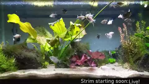 Booker Baxton online show from October 15, 3:10 am