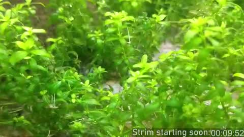 Booker Baxton online show from February 18, 4:01 am