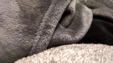 Borderslad1101 online show from November 23, 3:54 pm