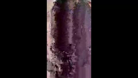 bossusaround online show from January 13, 9:44 pm