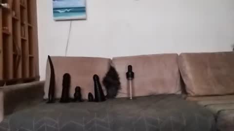 Bes7assquirt online show from January 31, 7:29 pm