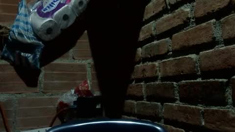 Boy online show from March 20, 2:27 am