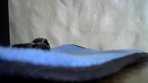 brad2717 online show from December 18, 12:40 pm