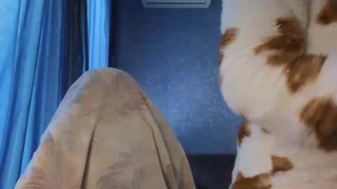 Belle  online show from September 14, 3:53 am