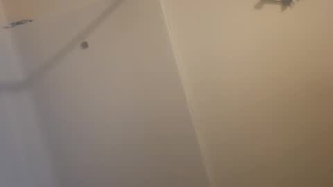 MeganDLoves online show from February 25, 8:21 pm