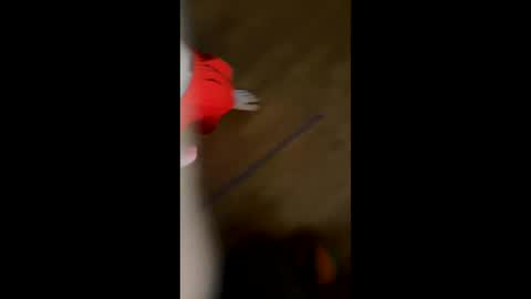 briancherryb online show from March 27, 5:02 am