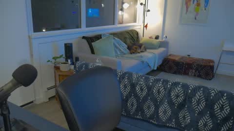 bright bi online show from November 10, 7:44 am