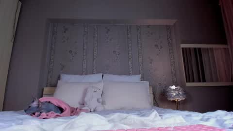 Ann online show from January 11, 1:33 am