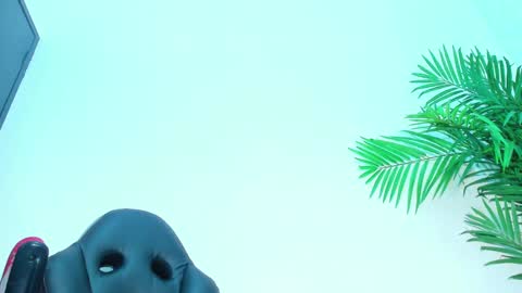 BRIYIT     online show from February 1, 6:32 am