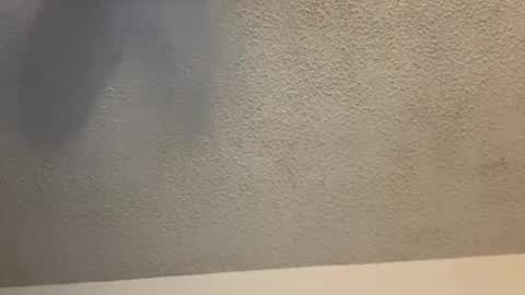 EtherealLilac online show from February 11, 3:50 am