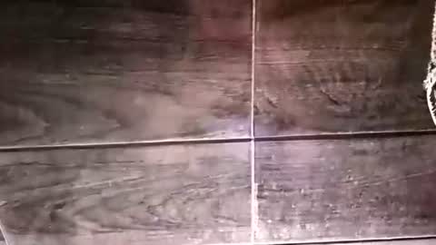 brunet_wd90 online show from July 31, 6:42 pm