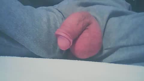 Dutch cock online show from January 11, 8:33 am