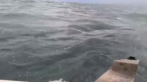 cam12b1 online show from October 22, 1:02 pm