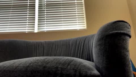 Snapshot of cam_albert1 chatting on February 19, 12:33 pm cam_albert1 online show from February 19, 12:33 pm