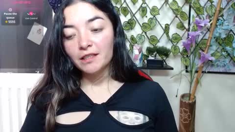 camelia online show from December 24, 2:22 pm