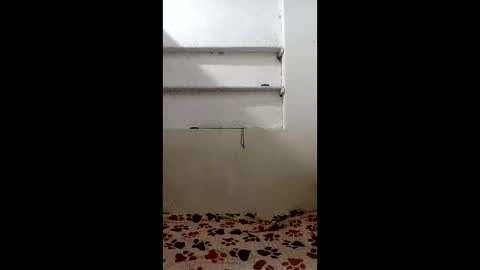 Mara Catalina Romero Ordez online show from April 21, 6:53 am