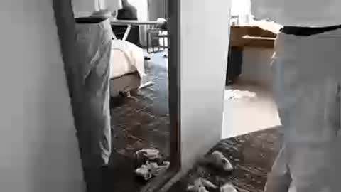 cammyman6900 online show from March 25, 8:59 pm