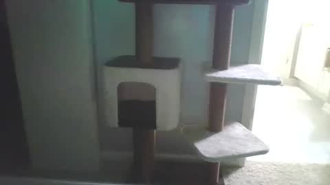 cammyman6900 online show from September 13, 4:15 am