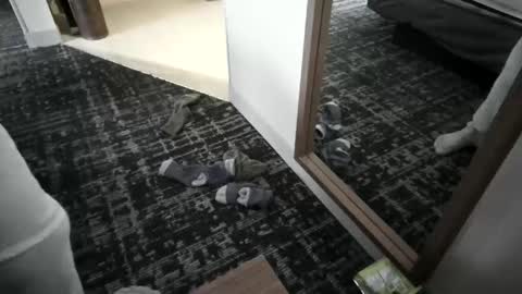 cammyman6900 online show from March 16, 10:03 pm