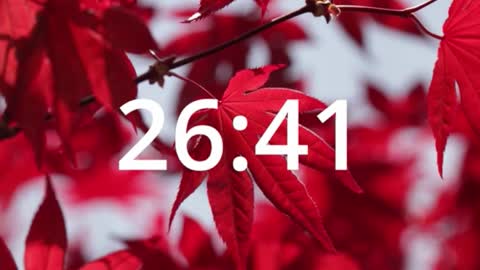 Carlos and Cristian  online show from March 5, 11:47 pm