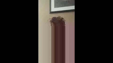 Carmellablendzwell online show from March 15, 5:12 am