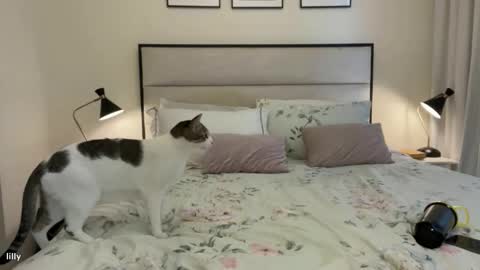 Your fav goddess online show from November 14, 4:25 am