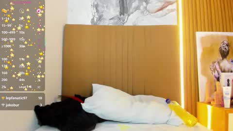 OSNA online show from March 21, 8:19 am