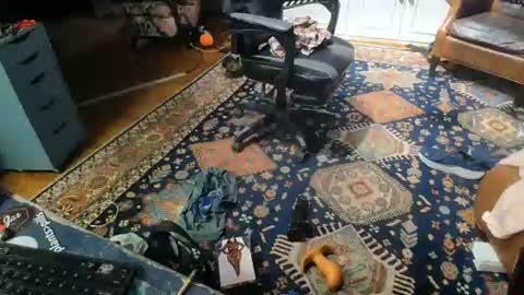 Sissu online show from July 22, 3:08 am
