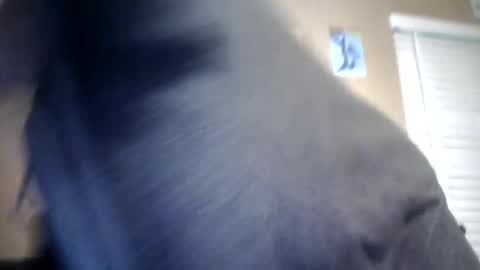 carsonlueders8775 online show from January 13, 1:56 am