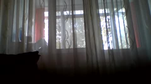 Casey online show from October 24, 7:31 am