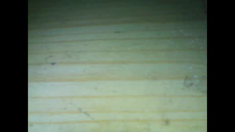 castells online show from February 9, 6:32 pm