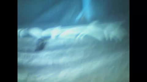 castells online show from January 8, 5:52 pm