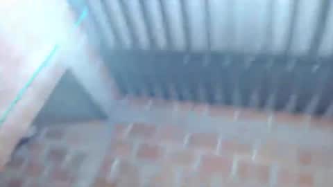 catalina online show from March 3, 3:02 am