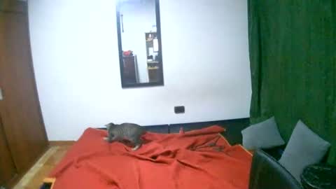 SCARLETT online show from October 2, 2:21 am
