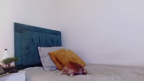 Cedrixx10 online show from June 24, 11:34 pm