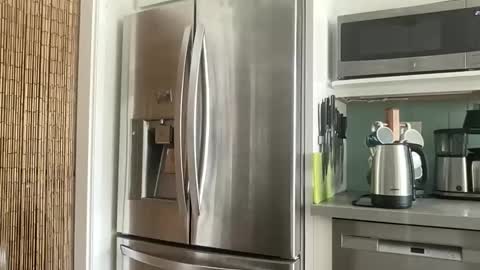 Jay online show from February 22, 10:56 pm