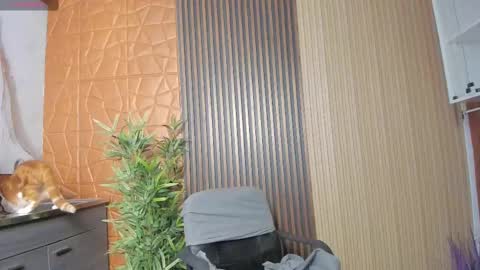 Snapshot of charlotte_whitee1 chatting on February 17, 11:02 am Charlotte Everyday From 0700 to 1300 Col Time online show from February 17, 11:02 am