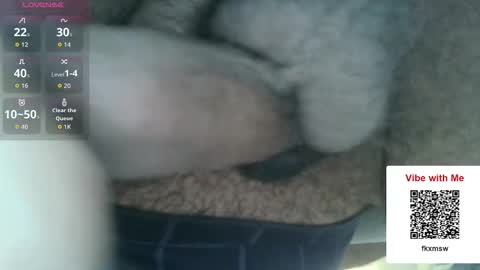 Fun With Daddys Dick Fantacy Room online show from December 17, 5:19 pm