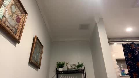 CHINO online show from January 18, 2:26 pm