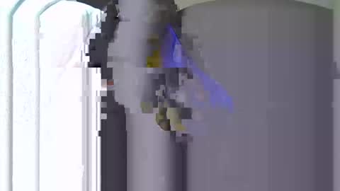 Paula online show from April 22, 6:42 am